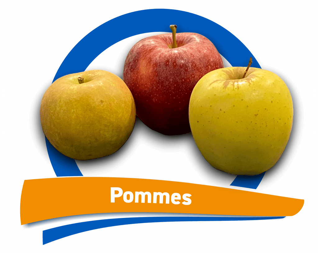 pommes du rayon fruits et légumes E.Leclerc Langon