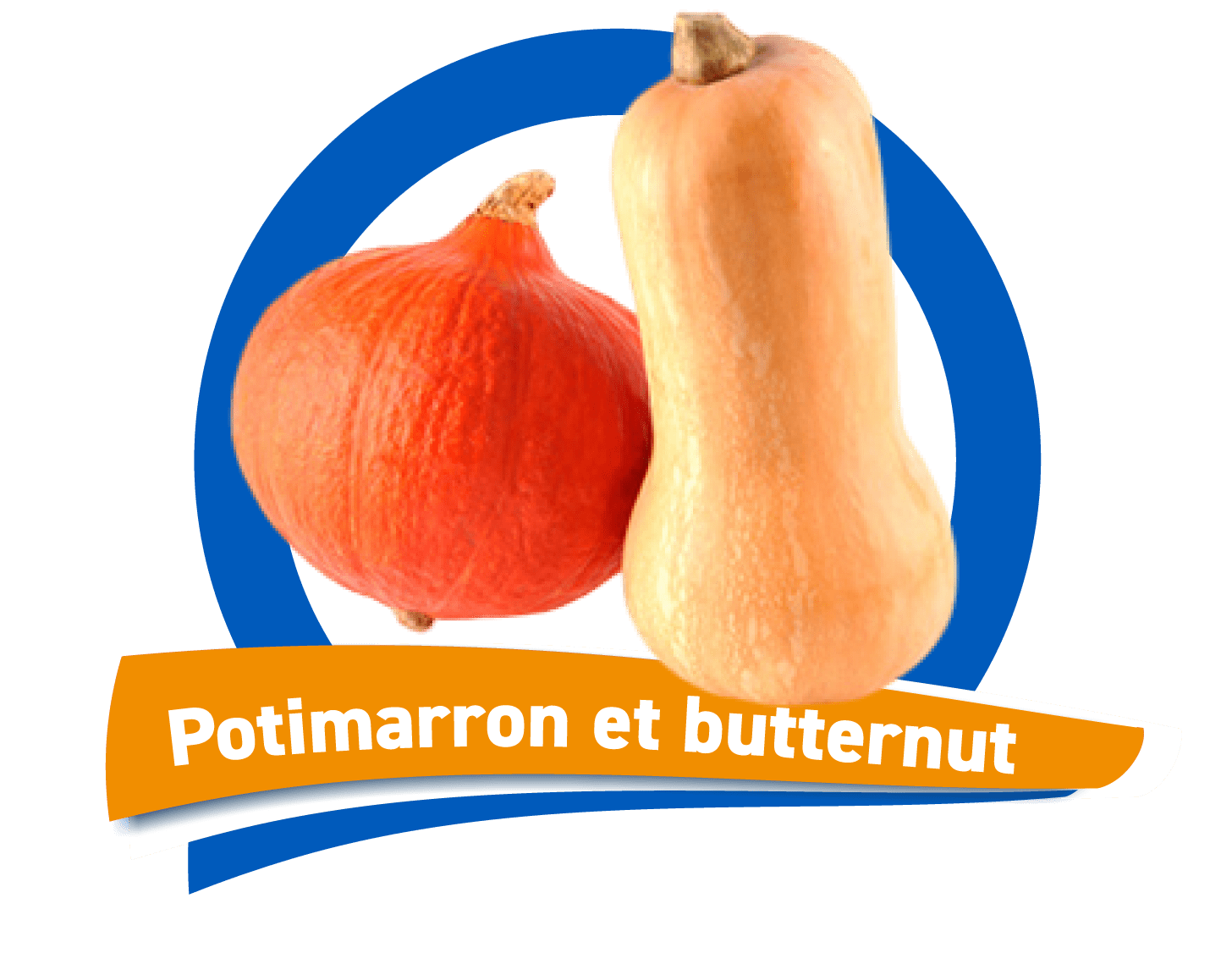 photo de potimarron et butternut jérôme labrèze