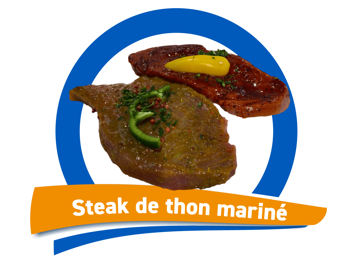 photo thon-marine